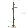 Cat Tree 5-Tier Floor to Ceiling Cat Tower Cactus Tall Climbing Frame with Scratching Post and Hammock for Indoor Cats