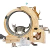 Cat Wheel 6-in-1 Exercise ,Upgraded Exerciser for Indoor,Large Treadmill, Running with Silent Wheel