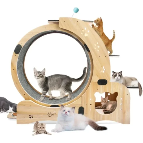 Cat Wheel 6-in-1 Exercise ,Upgraded Exerciser for Indoor,Large Treadmill, Running with Silent Wheel