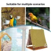 Bird House Parrot Sleeping Bed Scratch Resistant Imitate Rattan Swing Cage Accessory For Lovebirds Parakeet Cockatiels Budgies