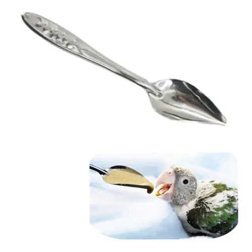10pcs Portable baby bird feeding water spoon bird parrot feeding spoon stainless steel water milk powder feeder Animal Care Tool