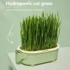 Organic Cat Grass Planter Kit With Wheat Seeds Hairball Relief Natural Digestive Aid Grow Your Own Cat Grass Bowl Set With Soil