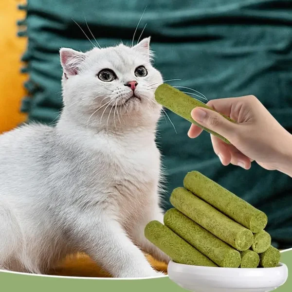 Freeze Dried Snacks Cat Food Gentle Natural Chew Stick Stress Relief Cat Food Cat Grass Stick For Small Medium Large Cats