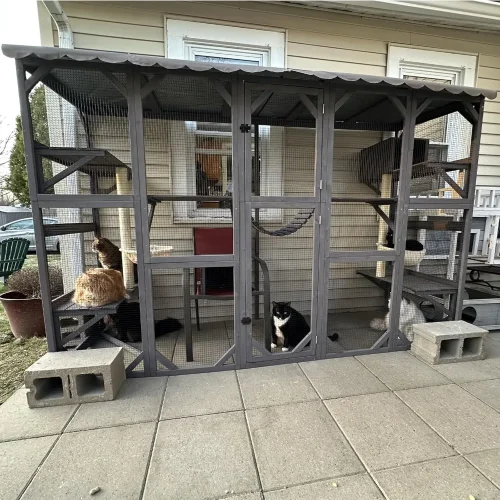 Catio Outdoor Cat Enclosure Window Box Wall Mounted Wooden Cat House Playground with Scratching Posts, Cat House
