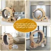 Cat Wheel 6-in-1 Exercise ,Upgraded Exerciser for Indoor,Large Treadmill, Running with Silent Wheel