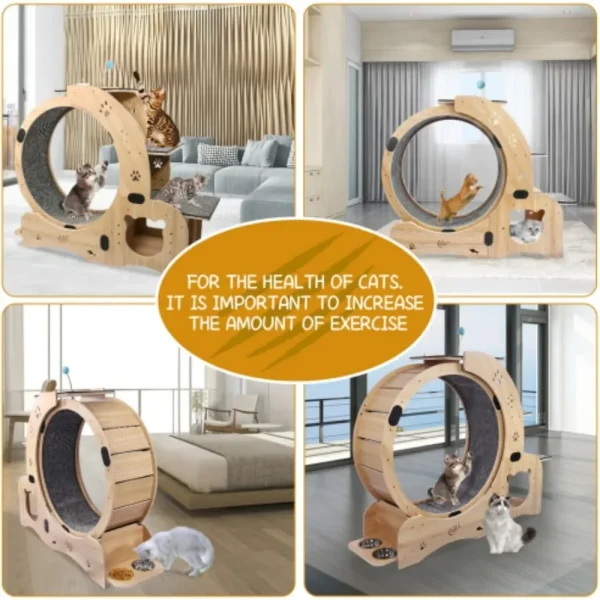 Cat Wheel 6-in-1 Exercise ,Upgraded Exerciser for Indoor,Large Treadmill, Running with Silent Wheel