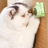 Catnip Healthy Nutrition Pasted Lollipop Cat Supplies Mint On The Wall Kitten Energy Ball Candy Snacks Goods For Pet Products