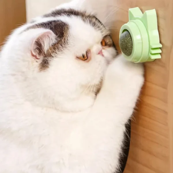 Catnip Healthy Nutrition Pasted Lollipop Cat Supplies Mint On The Wall Kitten Energy Ball Candy Snacks Goods For Pet Products