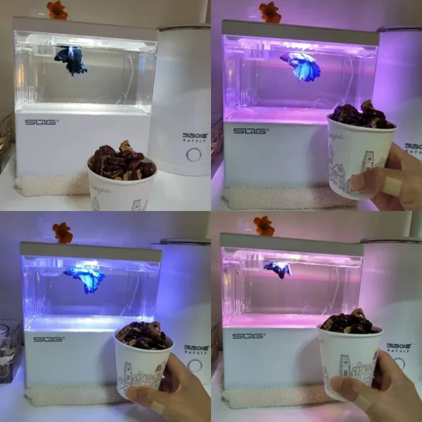 Fish Tank Small Aquascape Ecological Tank Home USB Power Planting Filtration NoWater Change Adjustable Breathing Light Fish Tank