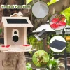 2.4G WIFI Smart Bird Feeder with Camera 1080P Auto Capture Bird Video and Motion Detection Notification AI Identify Bird Species
